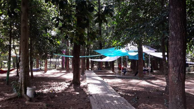 Hutan Kota Pinus Mentaos, Banjarbaru, Kalimantan Selatan - KAWASAN.info