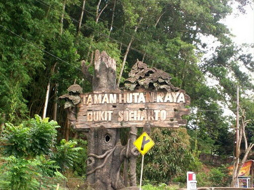 Bukit Soeharto, Kutai Kartanegara, Kalimantan Timur - KAWASAN.info