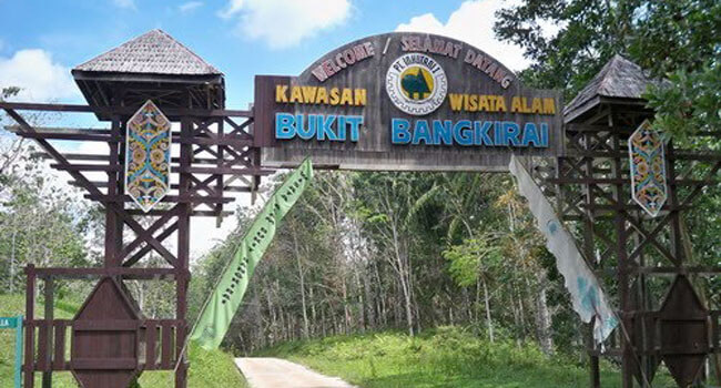Bukit Bangkirai, Kutai Kartanegara, Kalimantan Timur - KAWASAN.info