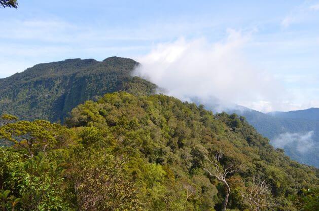 Taman Nasional Bukit Baka, Kalimantan Tengah - KAWASAN.info